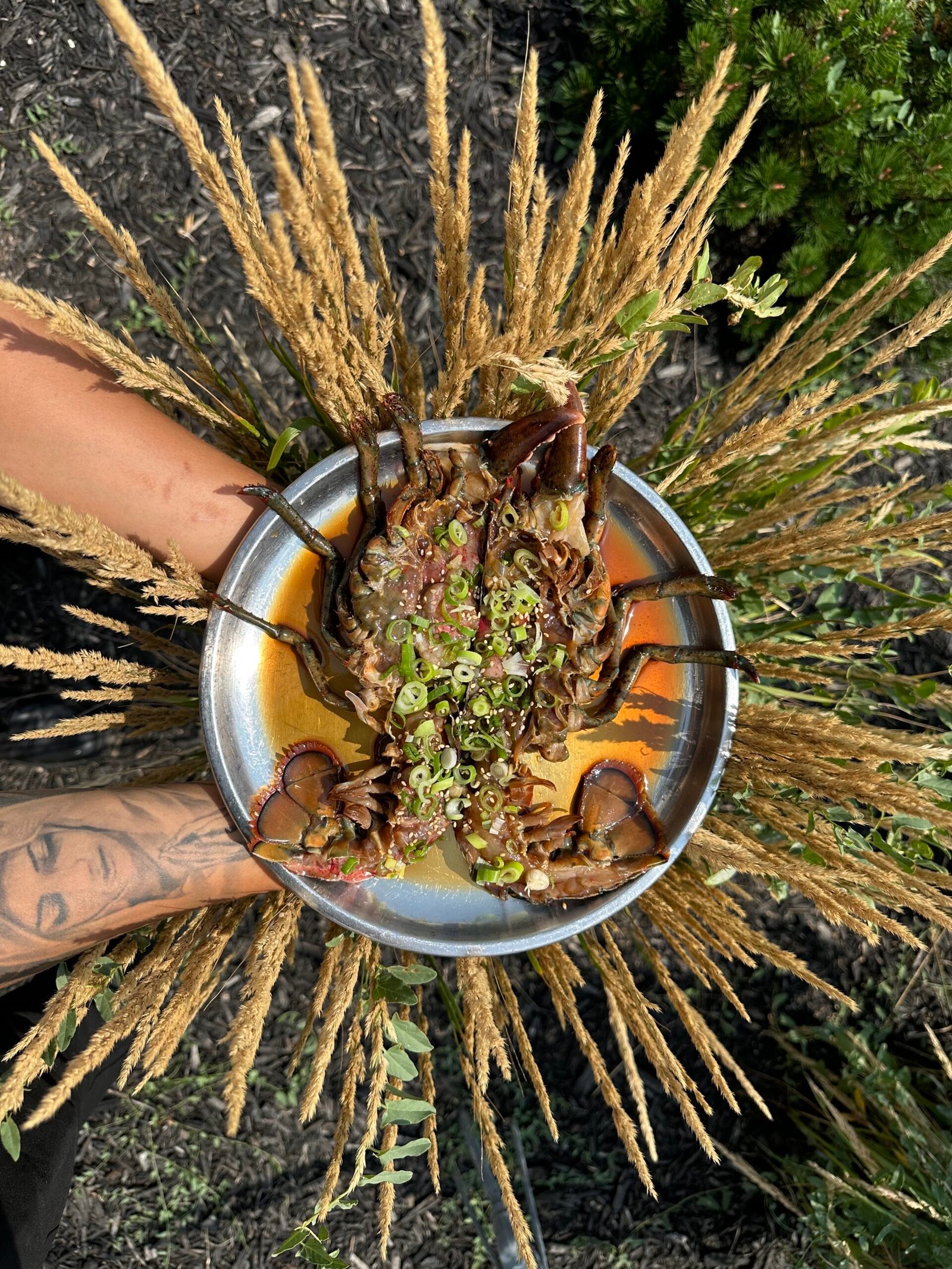 간장 랍스타장 Marinated Raw Lobster